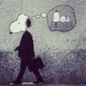 Meet your Posher, Satinder